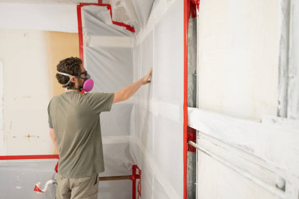 Mold Remediation for Rental Properties in Mccalla, AL