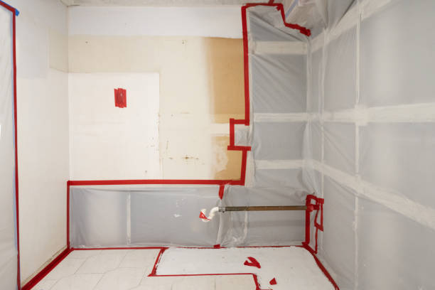 Best Mold-Related Health Consultation  in Mccla, AL
