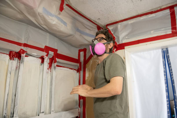 Environmental Consulting for Mold Prevention in Mccalla, AL